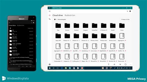 mega privacy|Download Windows 11 .